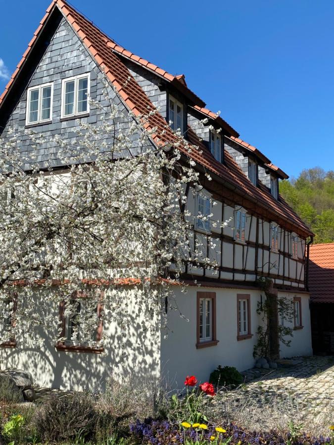 Dom Tkacza Lägenhet Pieszyce Exteriör bild